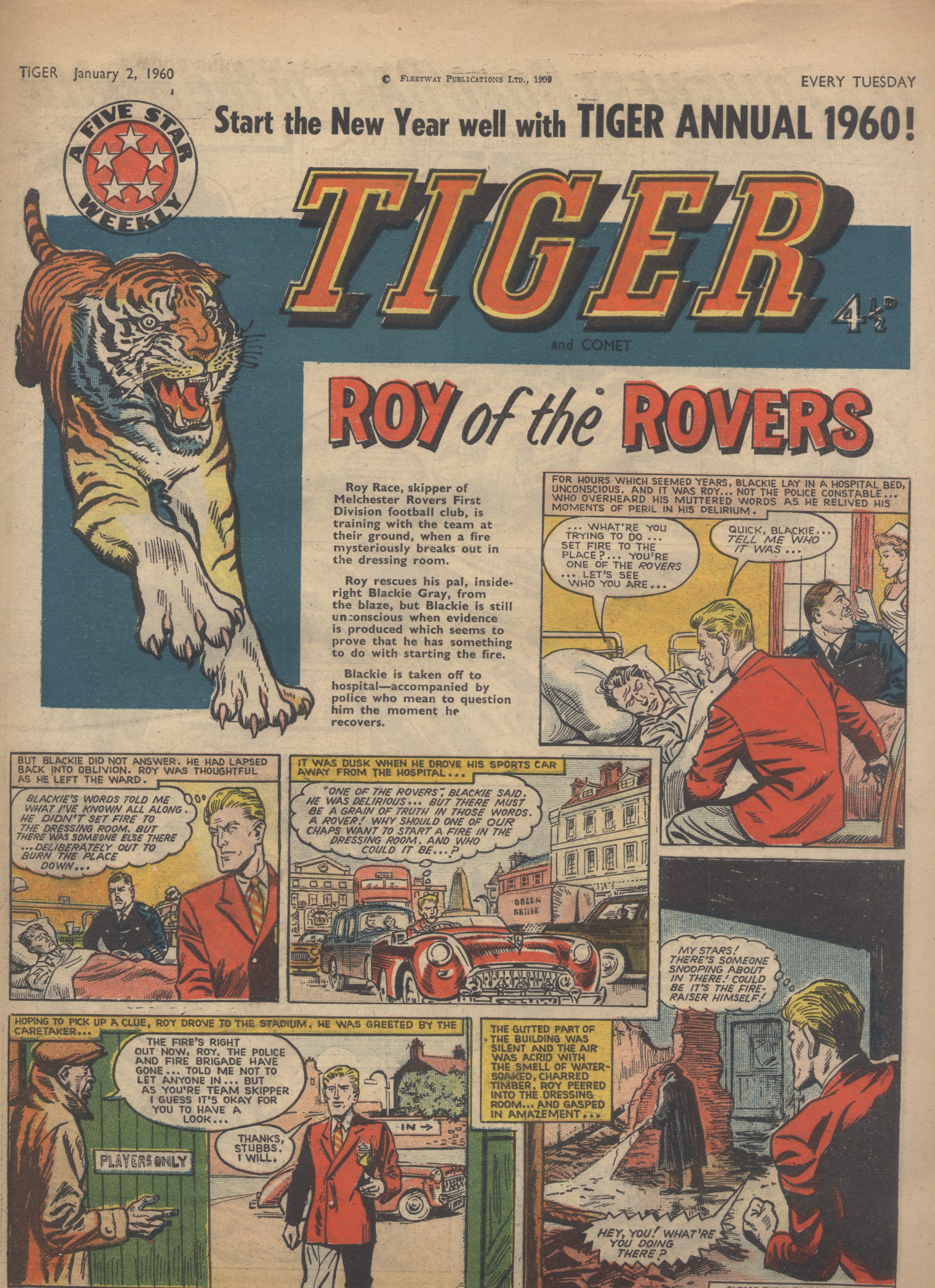Tiger